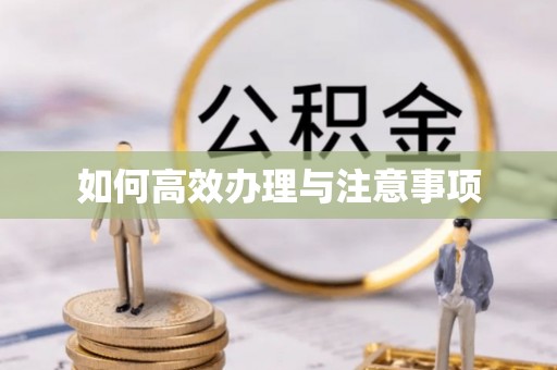 德江如何高效办理与注意事项