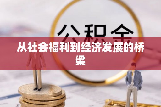 德江从社会福利到经济发展的桥梁