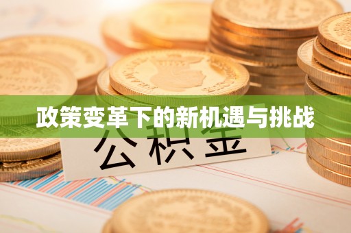 德江政策变革下的新机遇与挑战