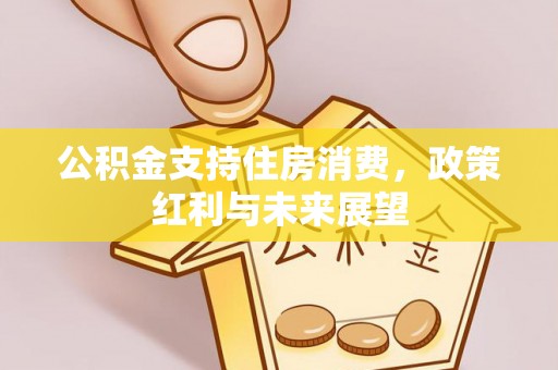 德江公积金支持住房消费，政策红利与未来展望