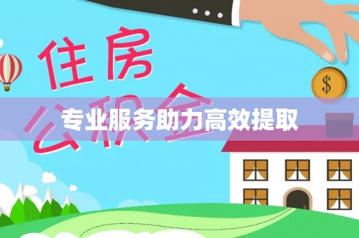 德江专业服务助力高效提取