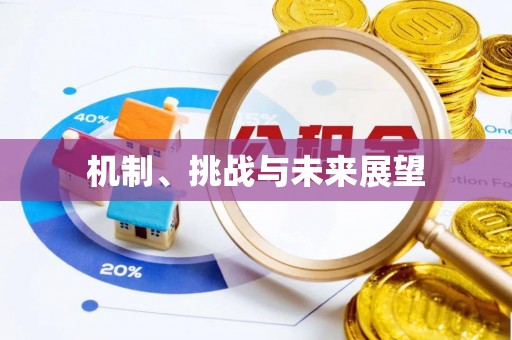 德江机制、挑战与未来展望