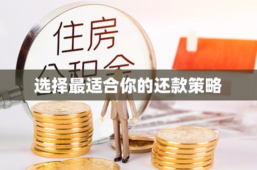 德江选择最适合你的还款策略
