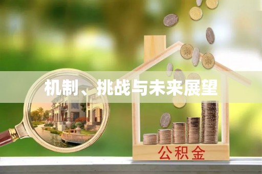 德江机制、挑战与未来展望