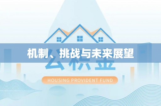 德江机制、挑战与未来展望